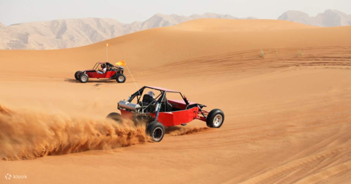 Desert dune buggies top
